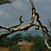 Rwanda - Parc Akagera - Savanne